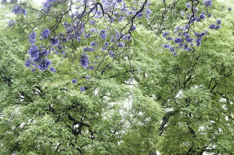 Afinal, o que é a Respiração&nbsp;Bioflow?