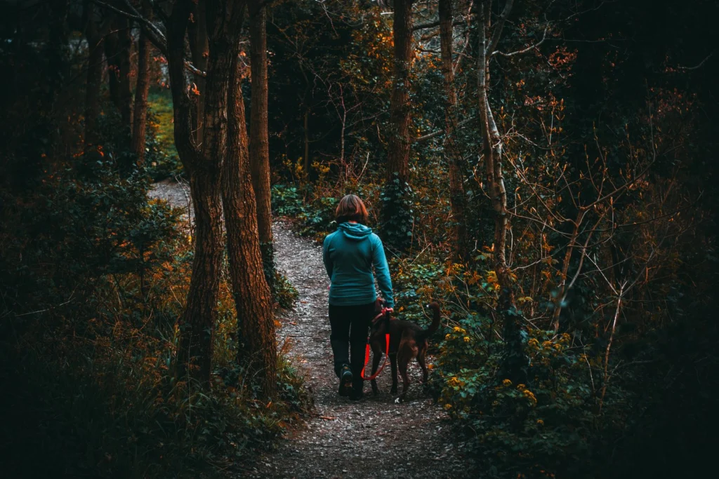 Mulher caminhando com um cachorro numa floresta de árvores altas